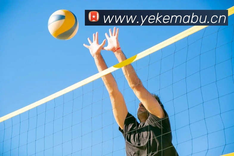 开云官方网站app下载入口品牌故事