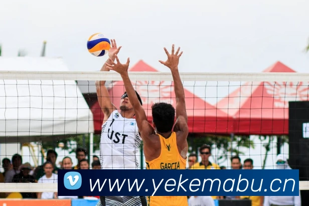 开云官方网站app下载入口服务体系